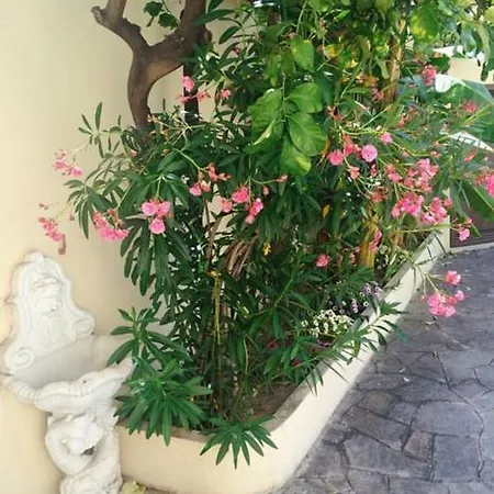 Regina Guest house Reggio Calabria